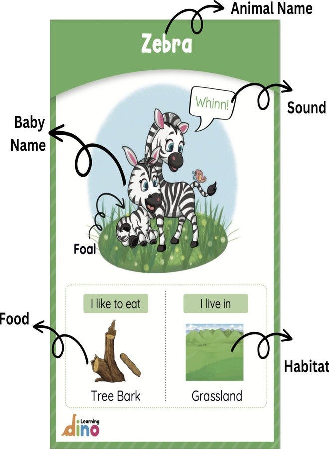 Learning dino Animals and Their Babies Flashcards | Animal Sound | Animal Habitat Flashcards for 3 Year Plus - 40 Animals - Non tearable and Water Resistant | Reusable - Image 3